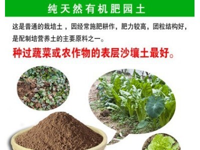 园土土壤种花土种菜花卉盆栽种植土有机肥料植物配植营养黄土泥土图2