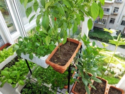 园土土壤种花土种菜花卉盆栽种植土有机肥料植物配植营养黄土泥土图4