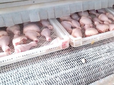 琵琶腿批发 冷冻鸡腿 净重鸡边腿 厂家批发 鸡腿批发图3