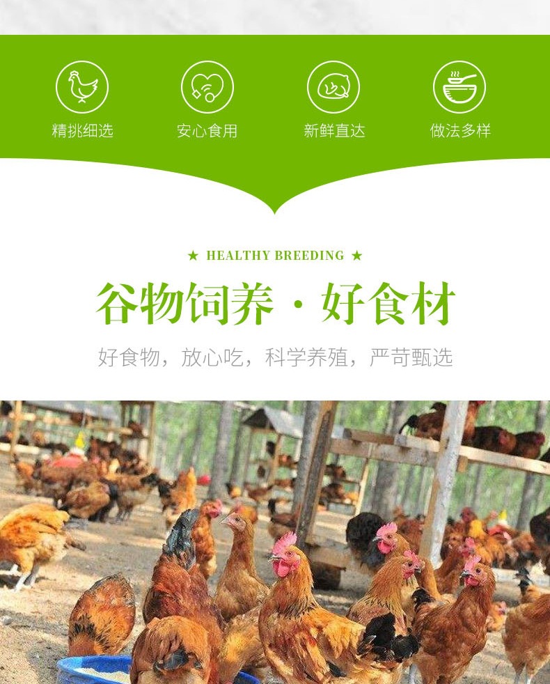 1翅中详情(1)_002.jpg