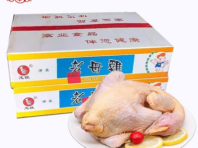 厂家现货批发新鲜老母鸡 冷冻鸡肉10.5kg/件 速冻鸡 全净膛白条鸡图5