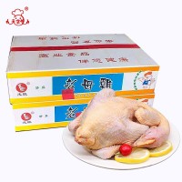 厂家现货批发新鲜老母鸡 冷冻鸡肉10.5kg/件 速冻鸡 全净膛白条鸡