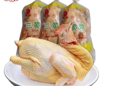 新鲜速冻全净膛冷鲜鸡肉吴掌柜扒鸡烧鸡直腿三黄鸡9.5kg装白条鸡图5