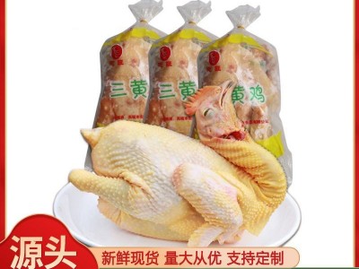 新鲜速冻全净膛冷鲜鸡肉吴掌柜扒鸡烧鸡直腿三黄鸡9.5kg装白条鸡图4
