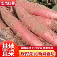 烟薯25红心流油蜜薯糖心红薯新鲜番薯密农家沙地地瓜山芋批发