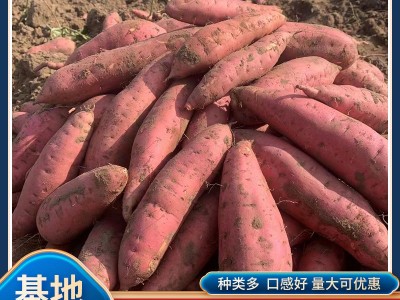 红薯批发雄县蜜薯糖心沙地西瓜红番薯地瓜烟薯25红心红薯产地直发图5