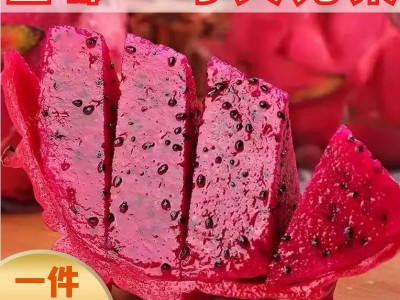 海南火龙果红心新鲜金都一号大果代发红色火龙果红肉蜜宝5斤顺丰图5