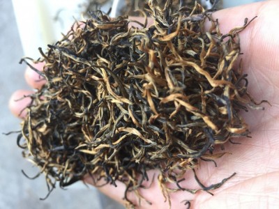 红茶芽中芽金骏眉 金骏眉蜜香型黄芽桂圆香500g散装茶叶春茶袋装图5