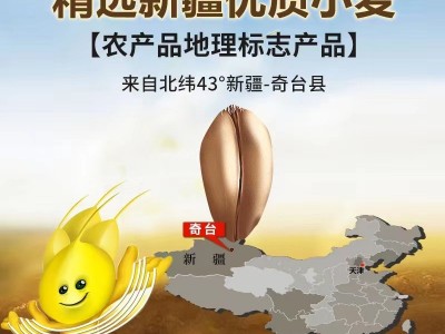 新疆全麦面粉奇台奇麦园5kg家用包子饺子馒头面包面粉10斤图2