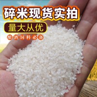 厂家直供湖北碎大米批发香碎米 酿酒食用饲料碎米 磨粉熬粥碎米头