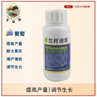 兰月速龙噻苯隆0.1%葡萄黄瓜甜瓜调节生长剂