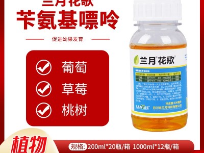 兰月花歌2%苄氨基嘌呤细胞分裂素保果枣树柑橘可溶液剂图2