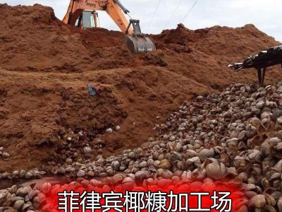 花卉苗木种植园林绿化育苗用营养土菲律宾免泡发微压缩散装包椰糠图3