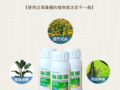 巨人新化液体硼流体硼糖醇海藻硼肥果树保花保果流体肥油菜叶面肥图3