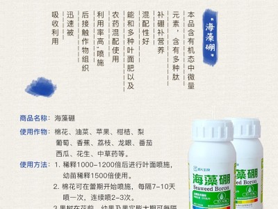 巨人新化液体硼流体硼糖醇海藻硼肥果树保花保果流体肥油菜叶面肥图2