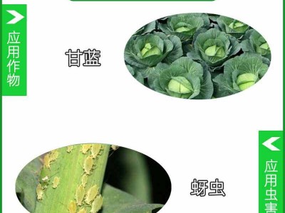 批发供应70%吡虫啉蔬菜甘蓝蚜虫腻虫 飞虱 2g5克100克杀虫剂农药图3