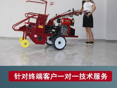 新款单行玉米收获机 柴油电启动苞米单垄农用家用小型玉米收割机图4