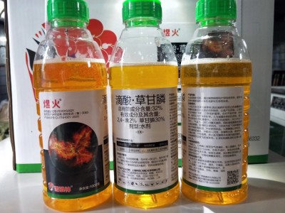 32%滴酸草甘膦多年生杂草小飞蓬马塘牵牛花除草剂农药 杀根1000克图7