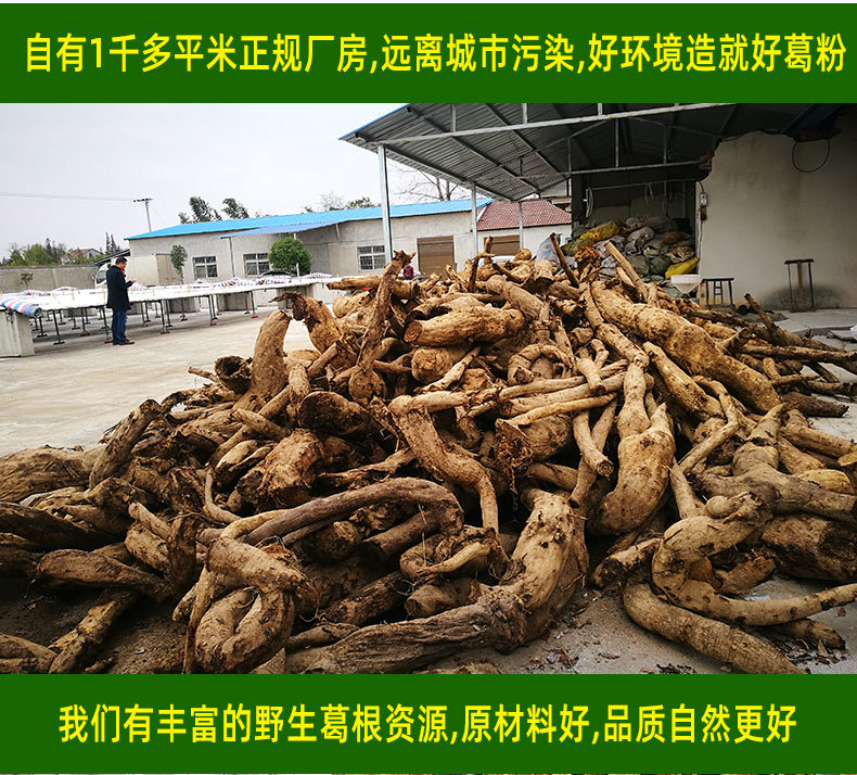 黄盖详情_14
