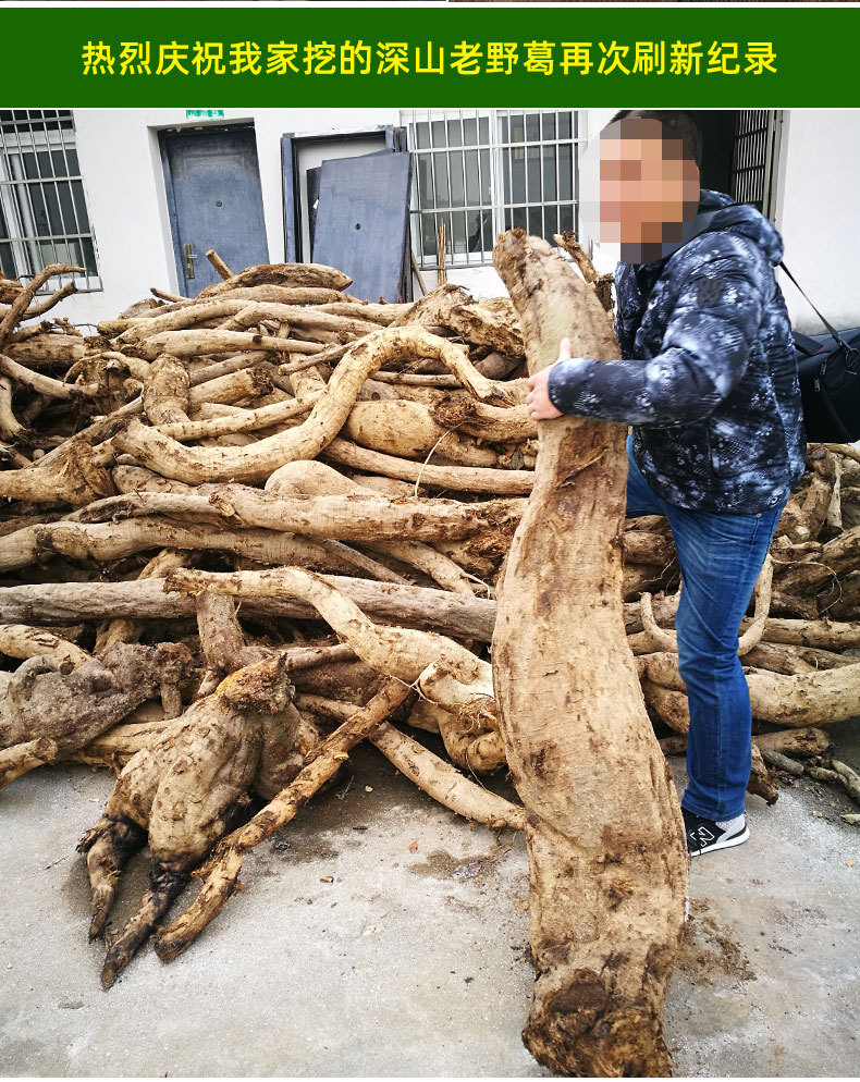 黄盖详情_12