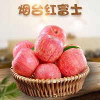 山东烟台红富士全年供应 代发3/5斤应季新鲜孕妇水果非丑苹果