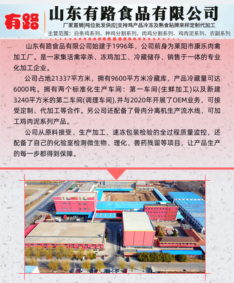 1公司简介