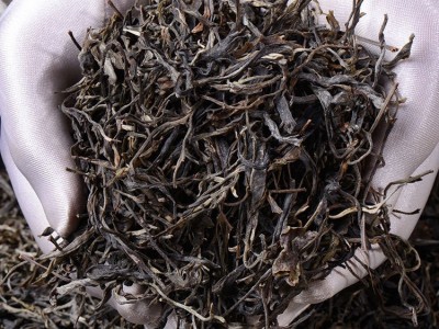 批发云南普洱茶生2019布朗山茶 茶叶散茶500克图2