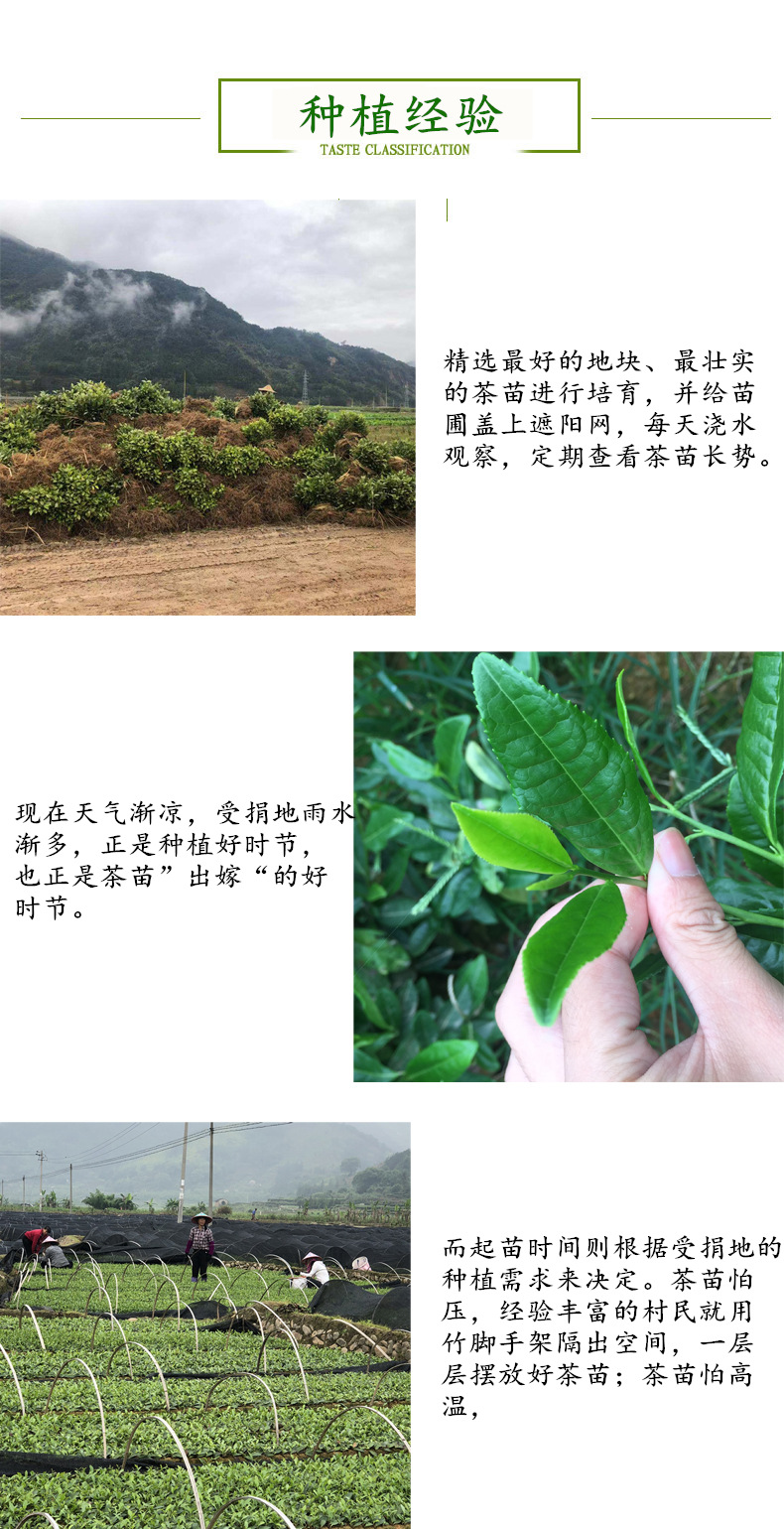 这个细节展示