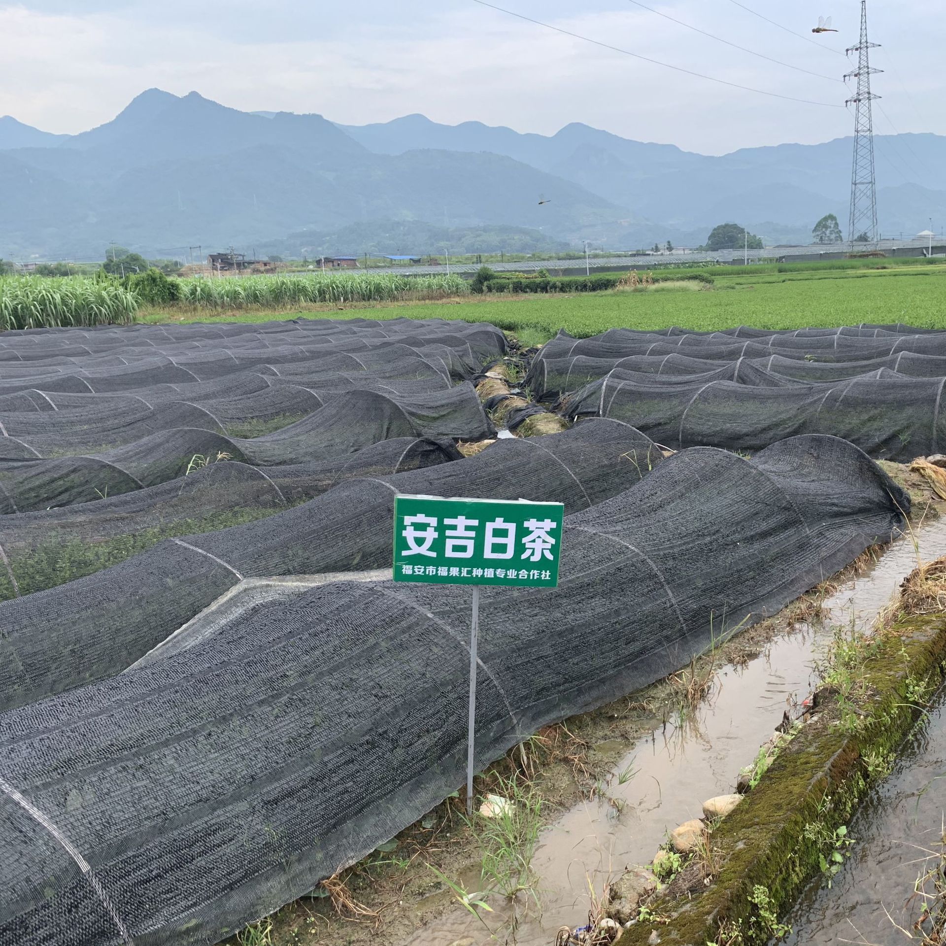 微信图片_20190826223016