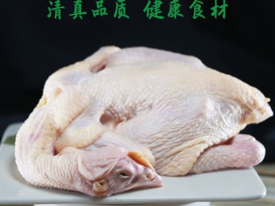 清真农家三黄鸡生态散养土鸡老母鸡笨鸡山鸡鸡肉月子鸡可一件代发图2