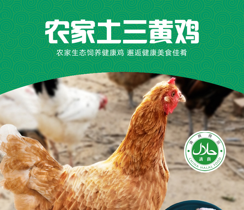 详情2_01