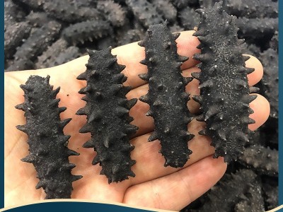 海参批发纯淡干海参干货刺参高刺大火微冻速发海参40-50顺丰包邮图2