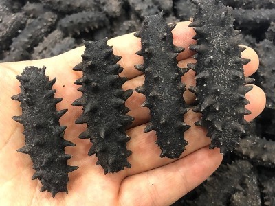 海参批发纯淡干海参干货刺参高刺大火微冻速发海参40-50顺丰包邮图5
