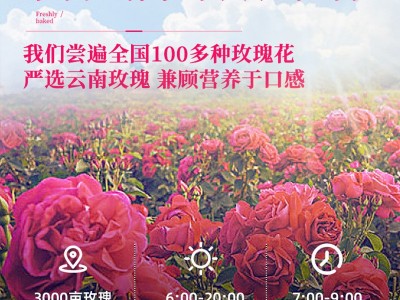 鲜花饼云南特产中秋玫瑰花月饼面包整箱小吃糕点食品节日礼盒批发图2