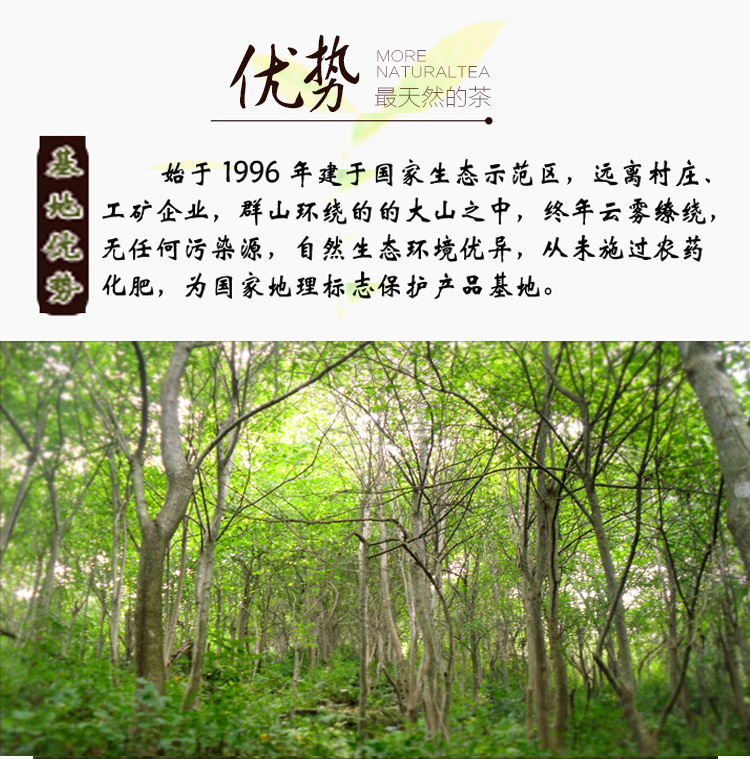 杜仲树林基地