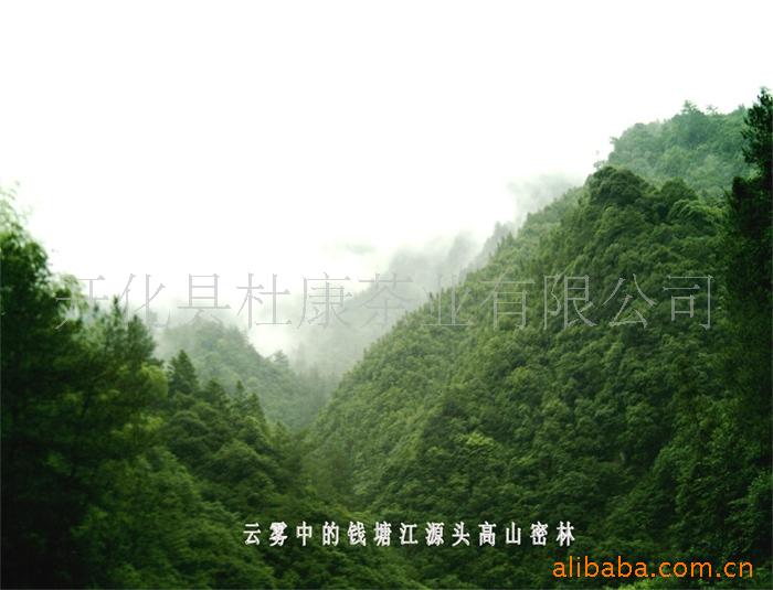 雾中钱江源高山
