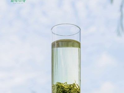 四川高山云雾绿茶2022年新茶特级散装茶叶浓香型雨前毛尖嫩茶袋装图2