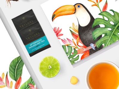英国进口Taylors 皇家泰勒 大吉岭下午红茶 餐饮特惠装100茶包图4