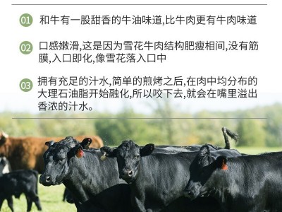 澳洲安格斯和牛M5上脑边进口谷饲雪花牛肉原切免洗冷冻牛排礼品装图3