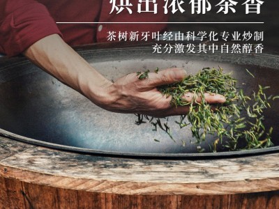 桂花乌龙茶 桂花弄奶茶金桂加工定制 乌龙奶盖茶秋季茶底图5