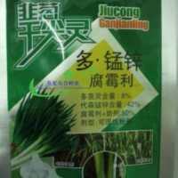 韭葱干尖灵 专业韭菜 大葱 大蒜干尖 40克叶面肥