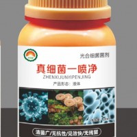 华农旺 真细菌一喷净 蔬菜瓜果清菌清菌剂
