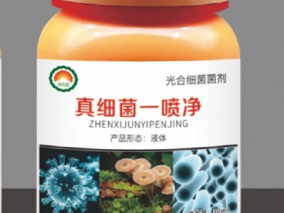 华农旺 真细菌一喷净 蔬菜瓜果清菌清菌剂图5