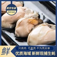 【顺丰包邮】生蚝肉鲜活鲜现剥海蛎子肉大牡蛎肉新鲜去壳生蚝健身