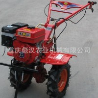 农机现代装备-小型耕地机，小型耕地机价格，厂家直批小型耕地机