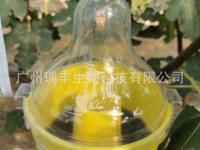 瑞丰实蝇食诱剂 实蝇蛋白饵剂图3
