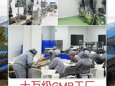 人参须根生东北晒参丝须长白山园叁煲汤泡酒入药打粉干白参须批发图3