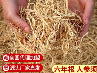 人参须根生东北晒参丝须长白山园叁煲汤泡酒入药打粉干白参须批发图5