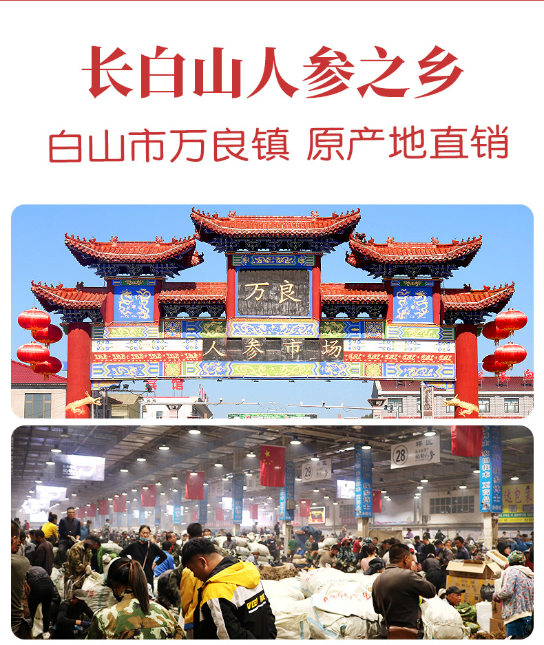 人参须详情_02.jpg