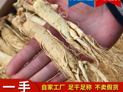 长白山人参批发整枝长白山干参生晒参白参东北特产人参干货图5